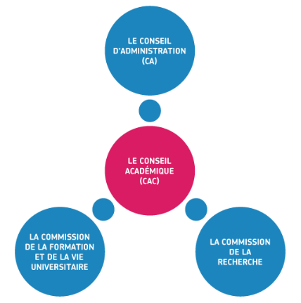 visuel sur les différents conseils statutaires