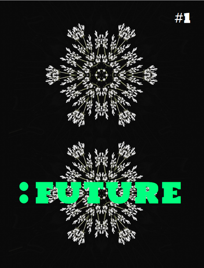 magazine future